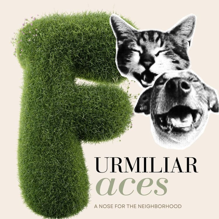 Furmiliar Faces
